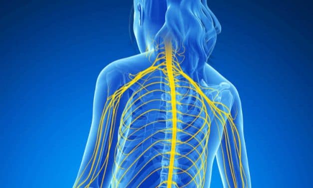 What is Chiropractic Neurology?